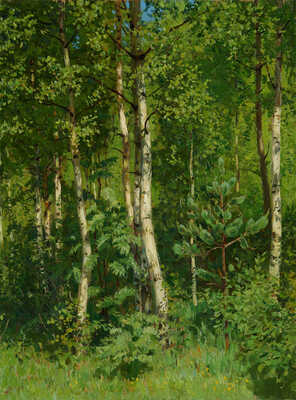 Кугач Юрий Петрович. Березовая роща 